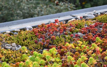 the cost of Tasburgh green roof installation