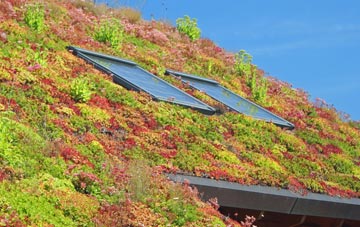 Tasburgh living roof systems